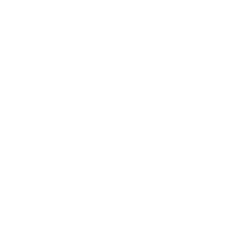 Mike Reese Memorial Fund logo